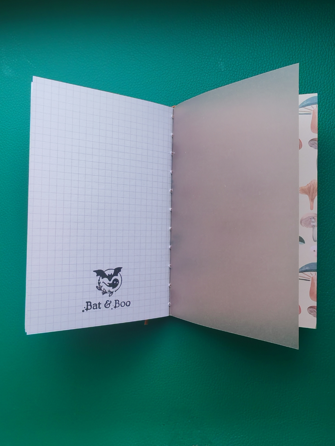 Open notebook with grid pages on a green background