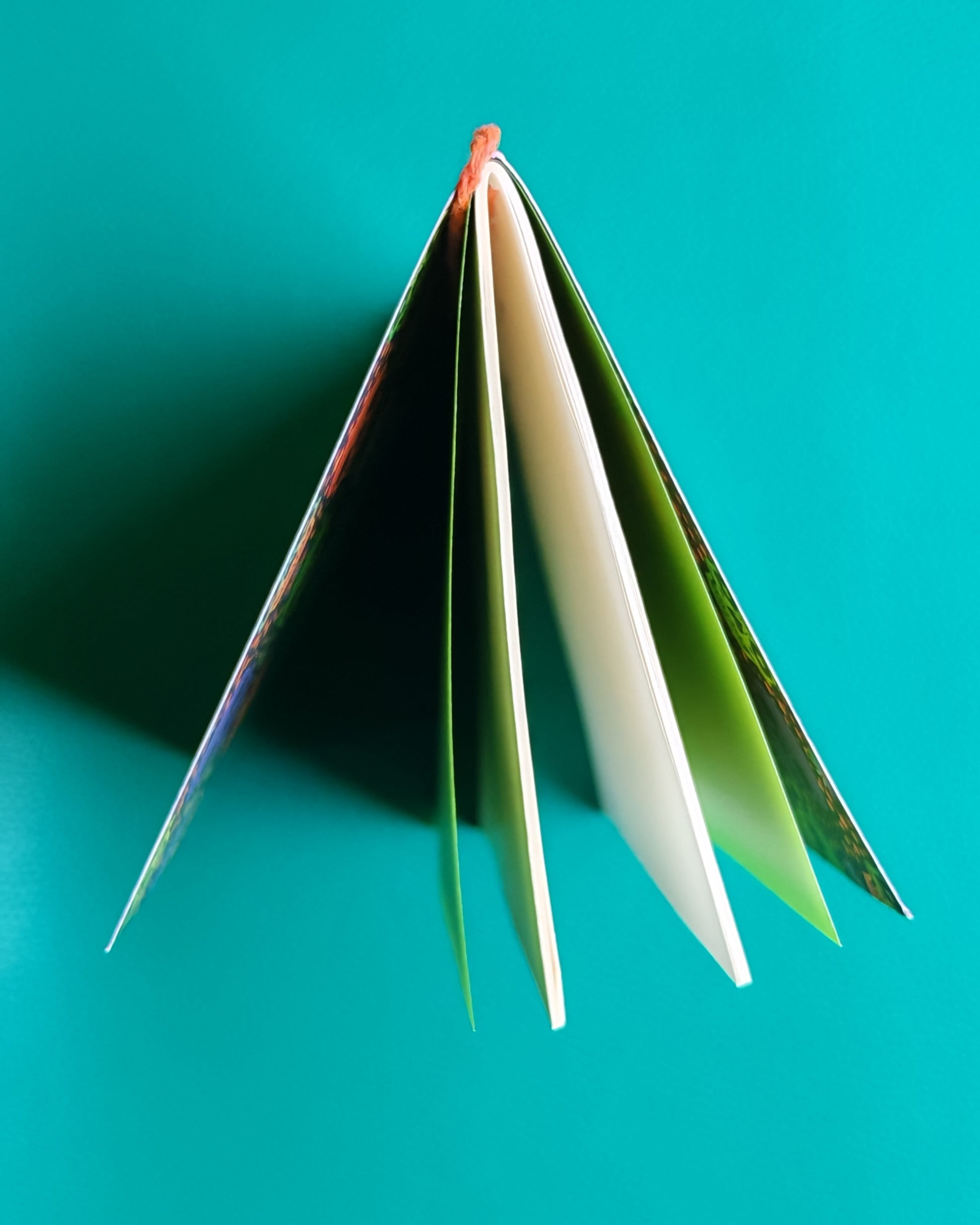 Top view of tomoe river paper notebook insert standing on desk