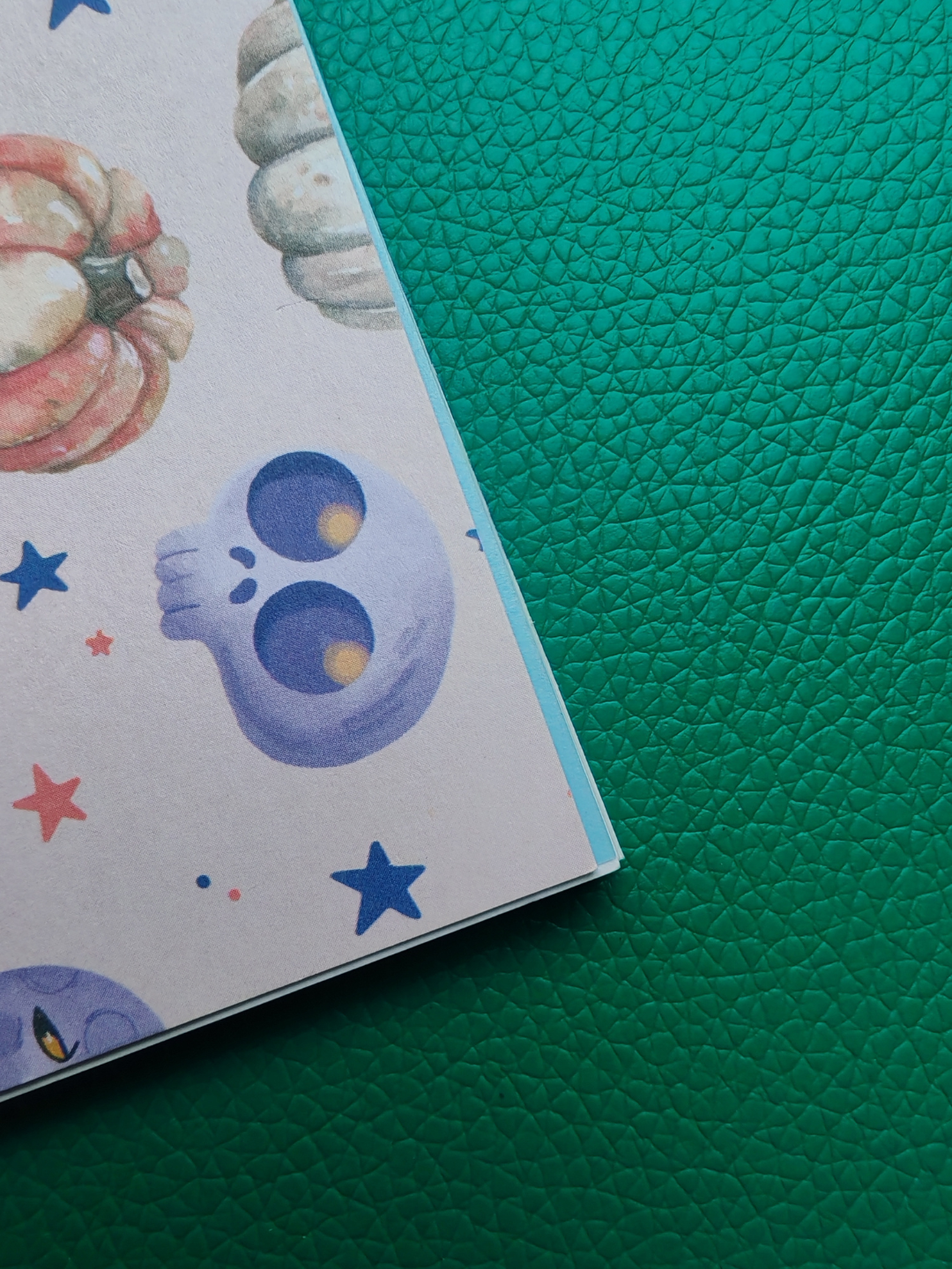 Close up detail of misfit notebook