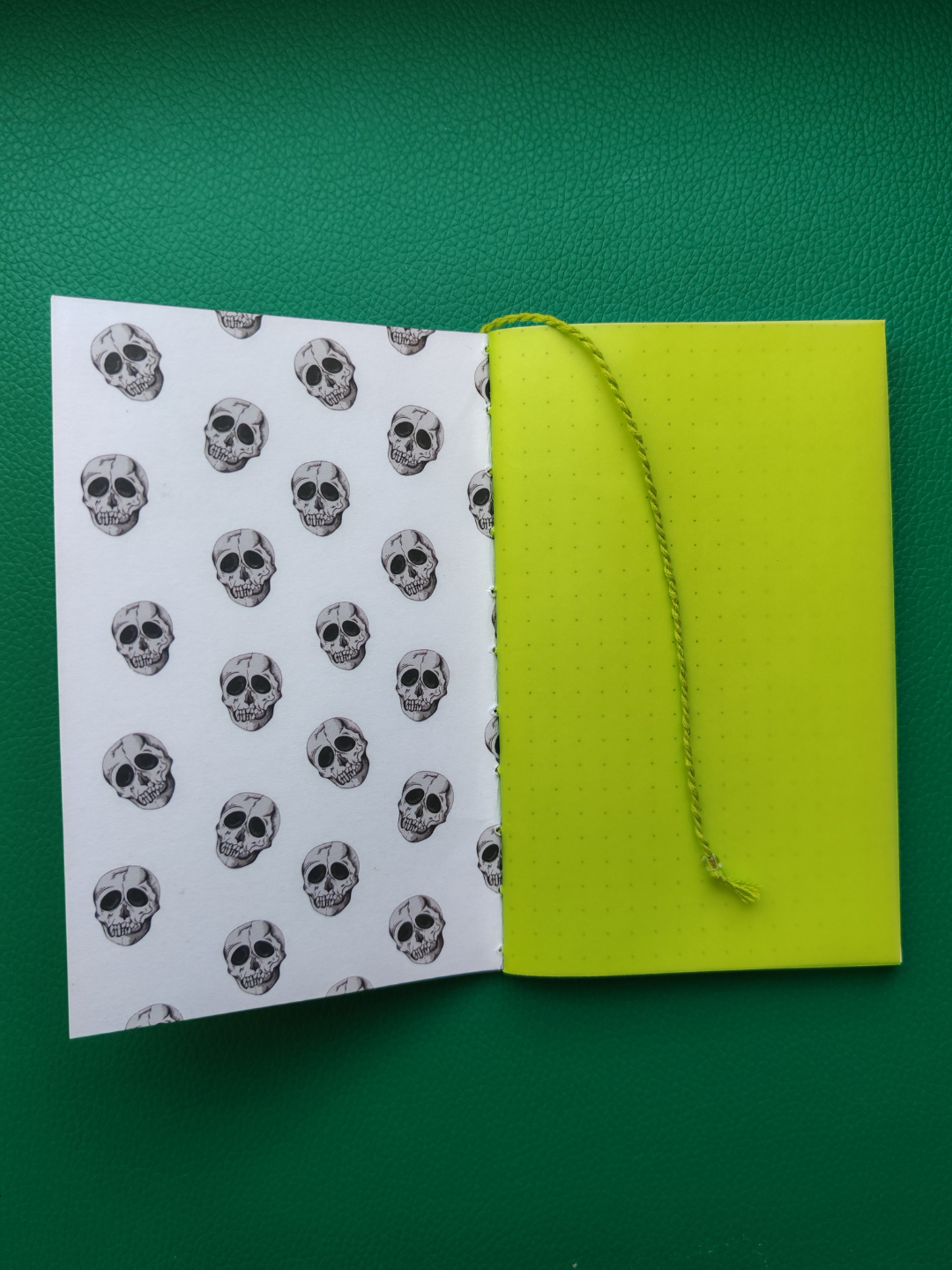 Open book with skull pattern on one page and green cover on the other, against a green background.