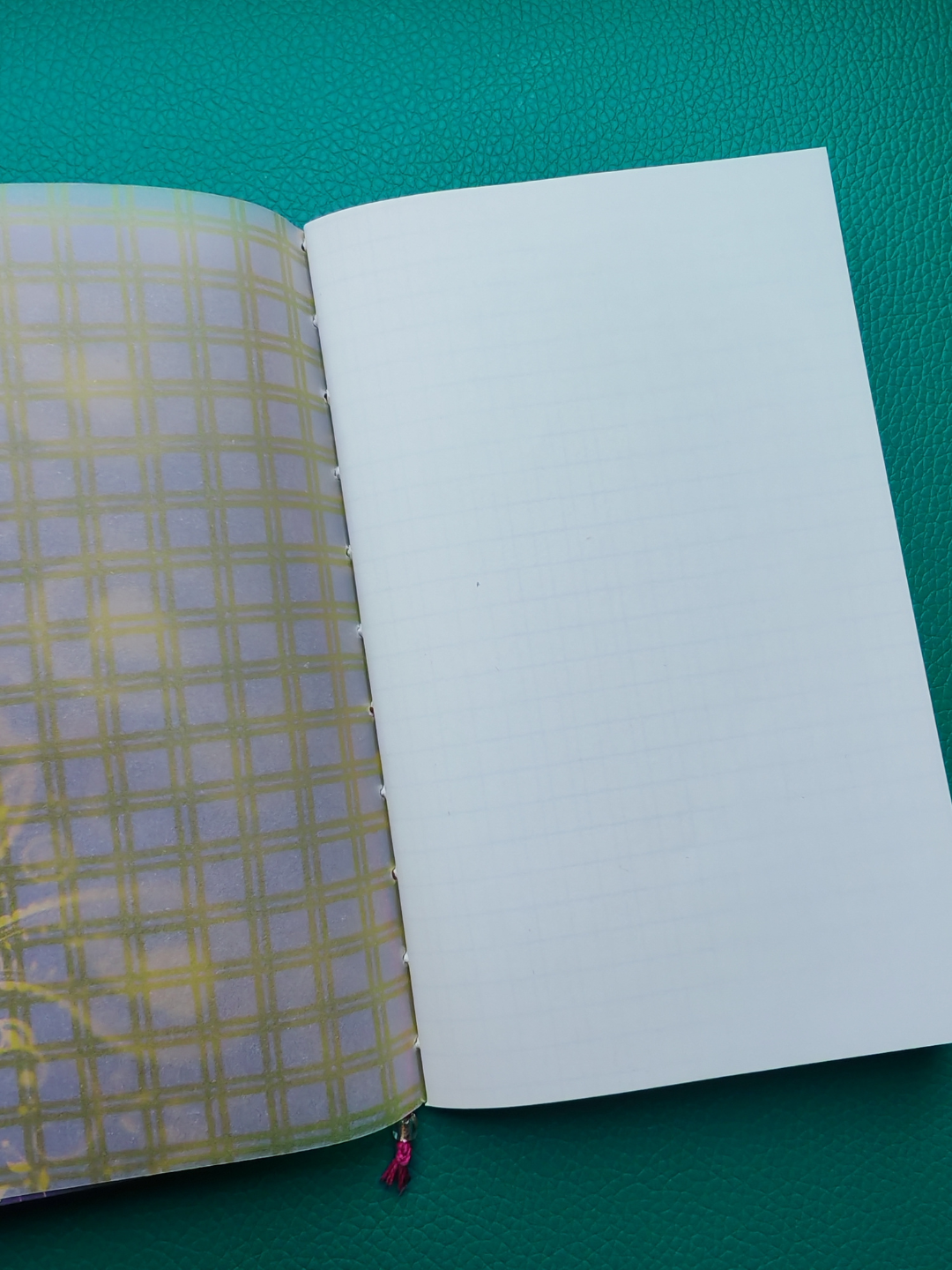 Open notebook with checkered and plain pages on a green surface