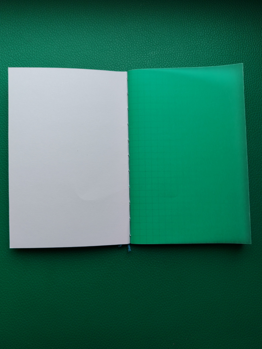 Open notebook with white Tomoe river paper pages and green cover on a green background