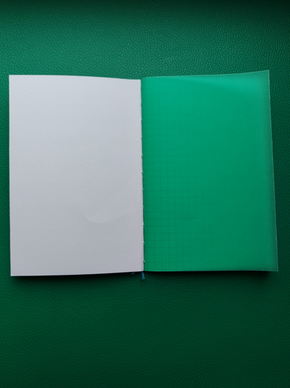 Open notebook with white Tomoe river paper pages and green cover on a green background