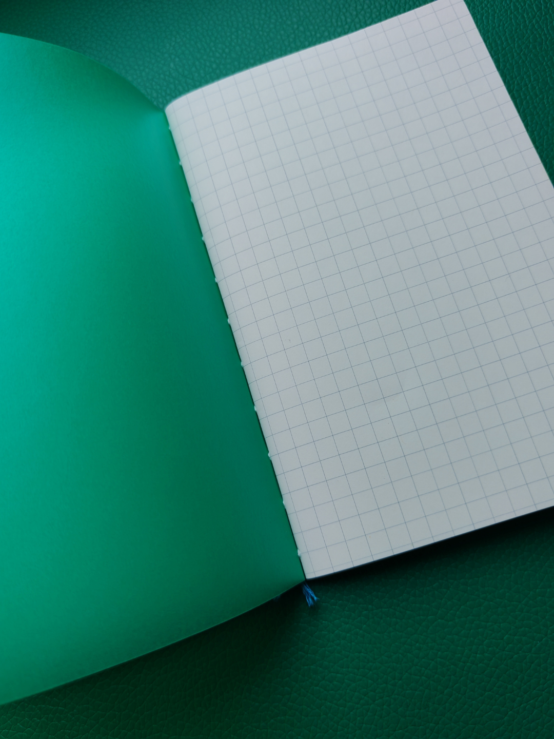 Open notebook with green flyleaf  and grid-patterned page on a green background