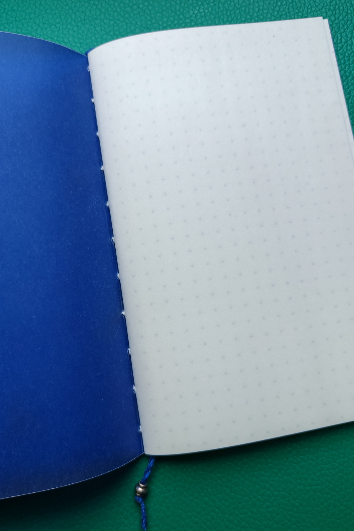 Open notebook with blue flyleaf and white dot grid pages on a green textured surface