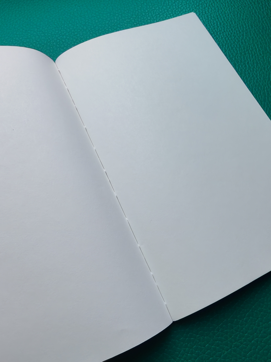 Open book with blank pages on a green surface
