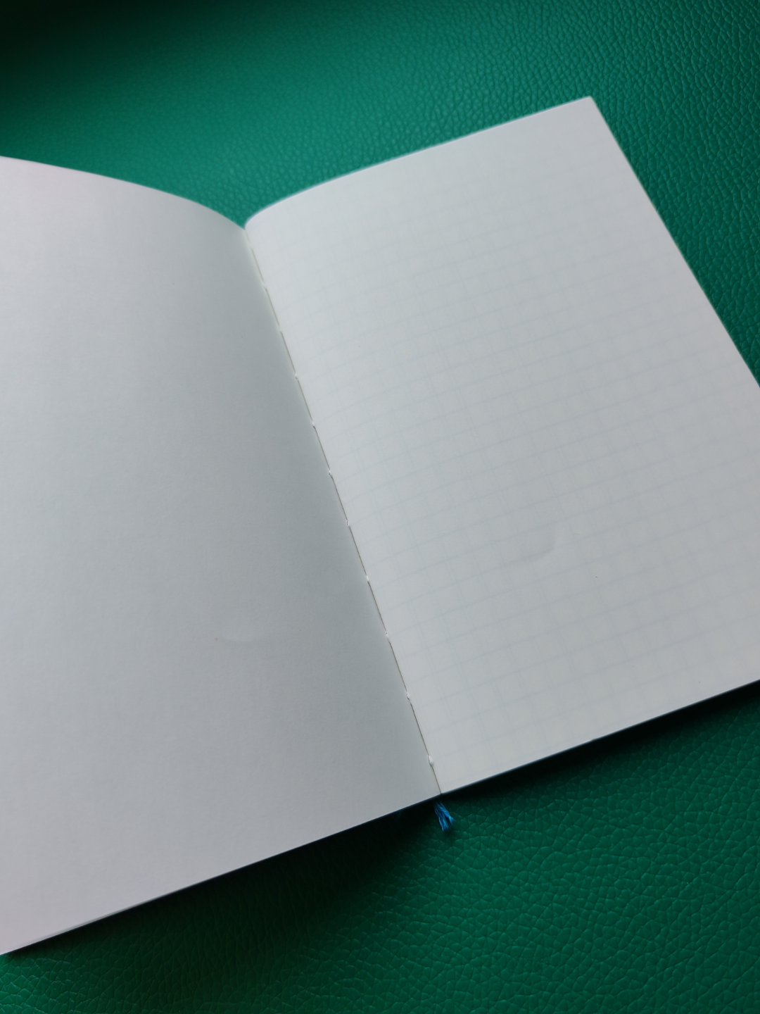 Open notebook with blank pages on a green background