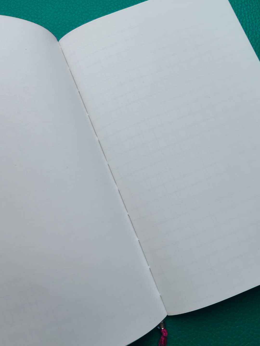 Open notebook with blank pages on a green surface