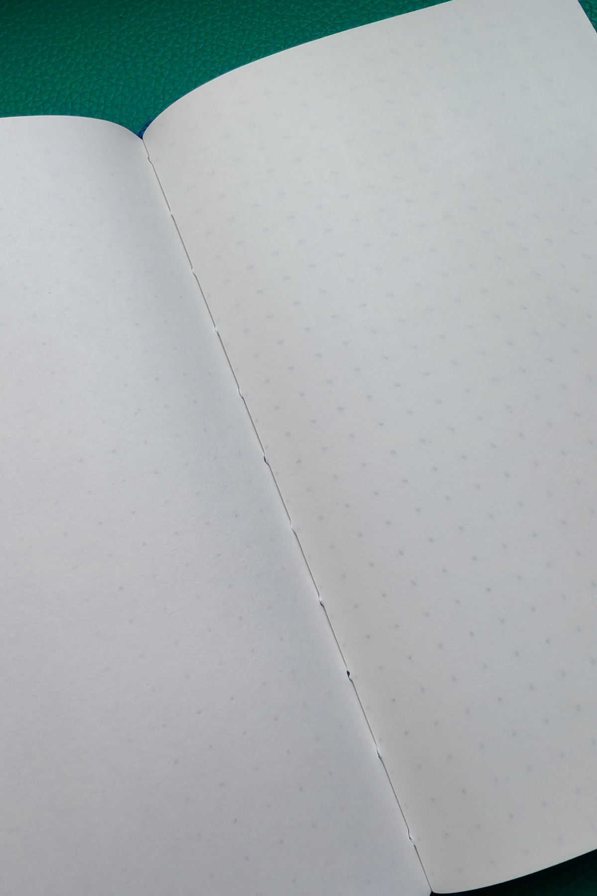 Open notebook with plain pages 