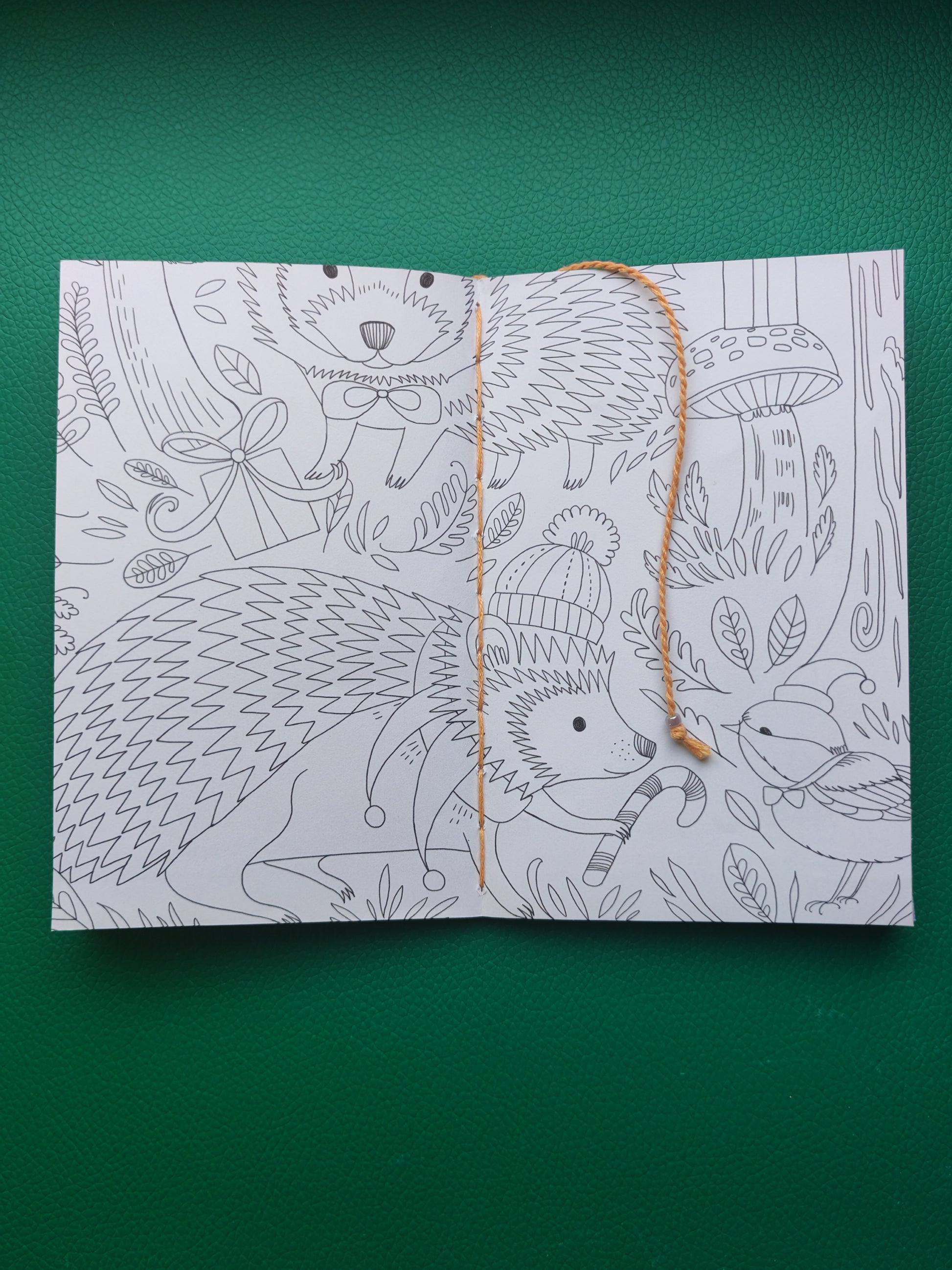 Open book with hedgehog illustrations on a green background