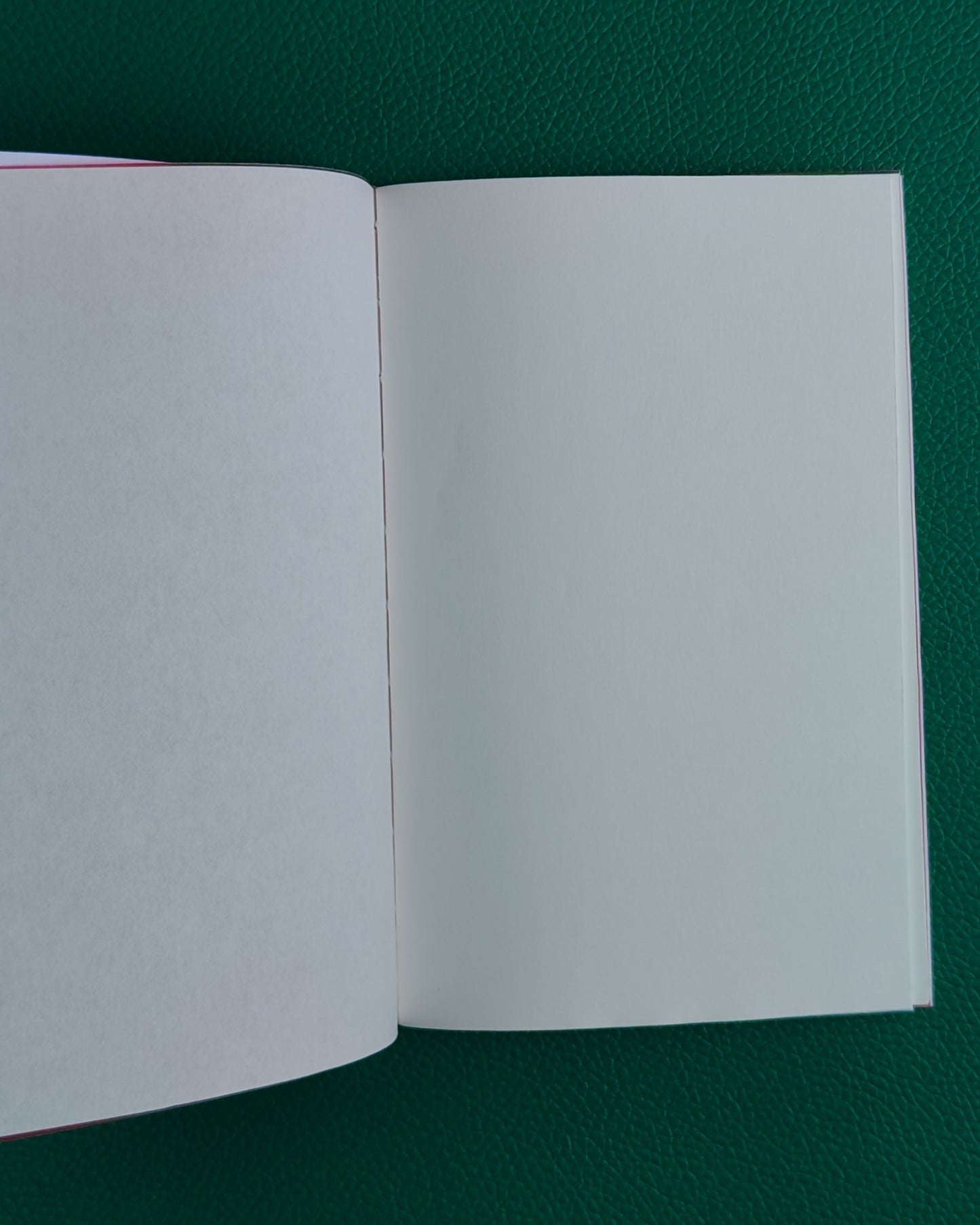 Open TRP notelet with white pages on a green textured surface