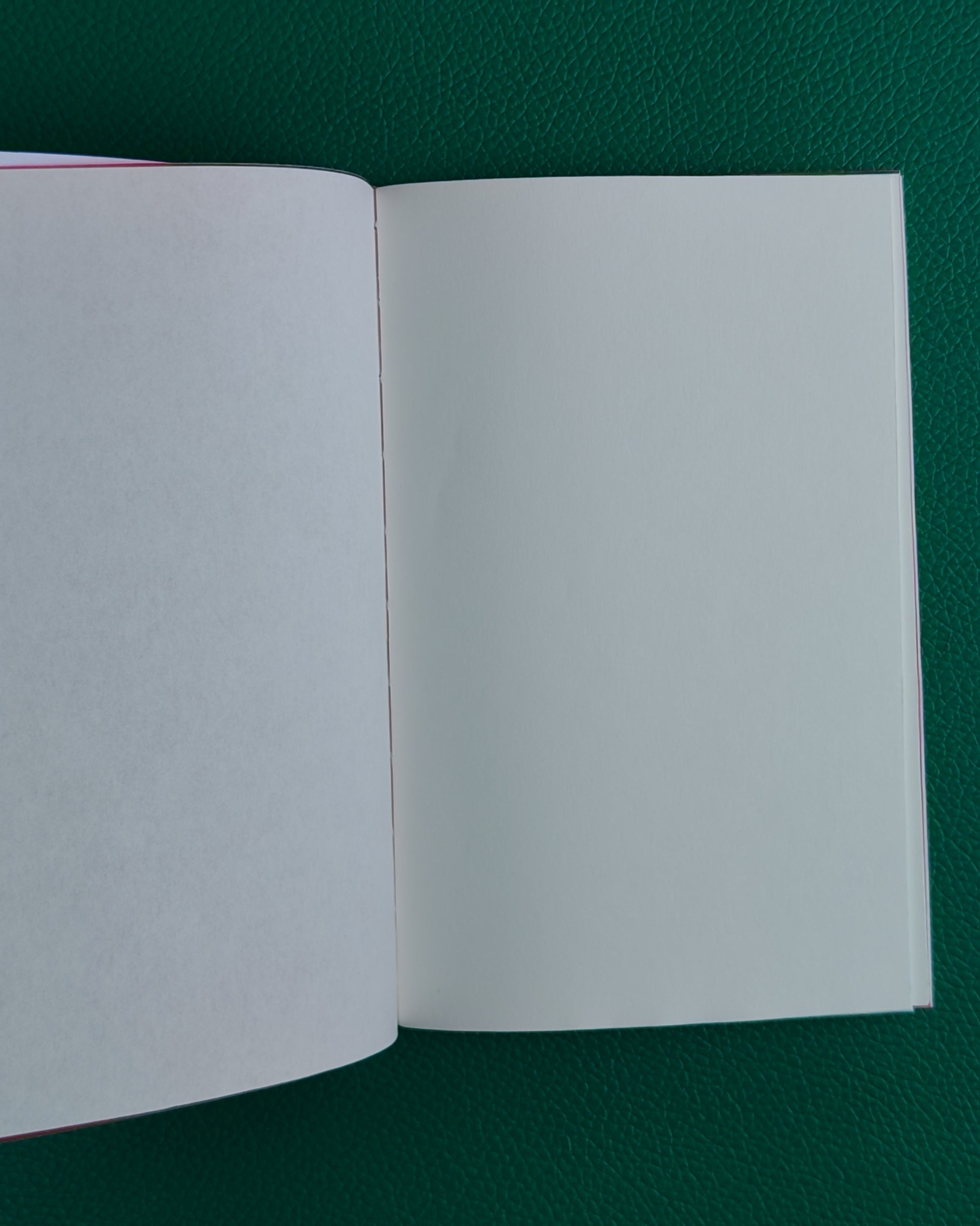 Open TRP notelet with white pages on a green textured surface