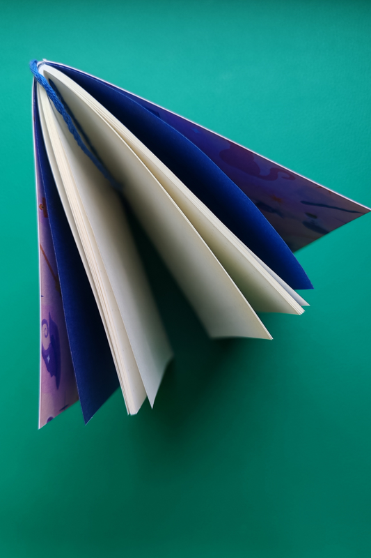 Open book with blue and white pages on a green background