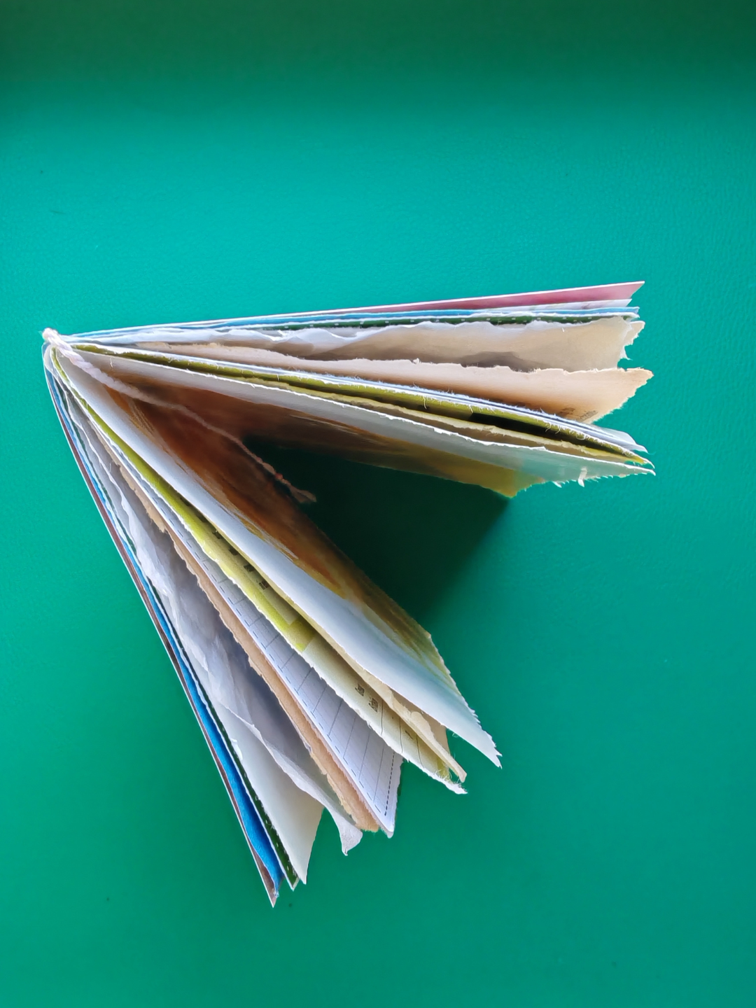 Open book with colorful pages on a green background