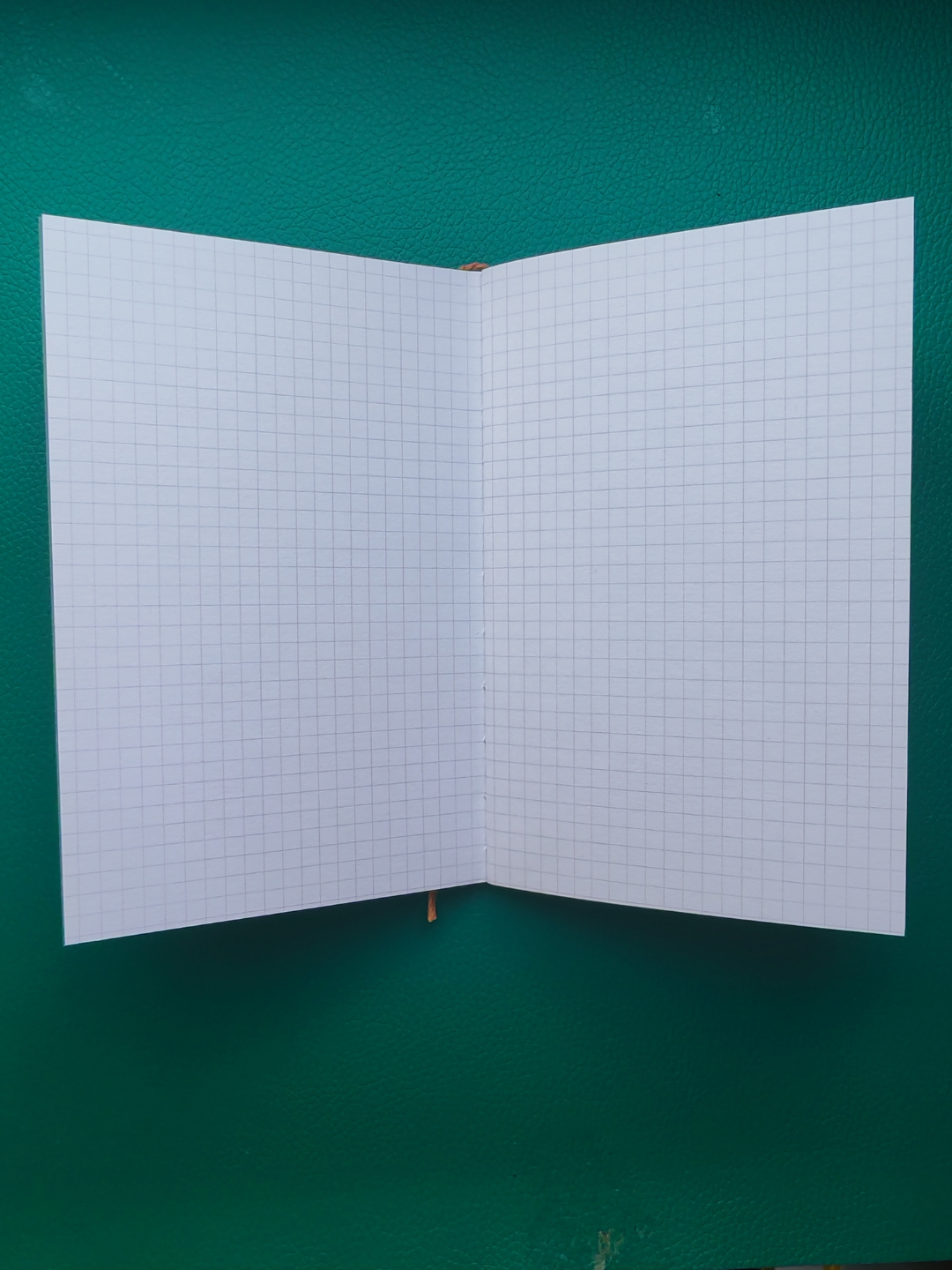 Open notebook with grid paper on a green background