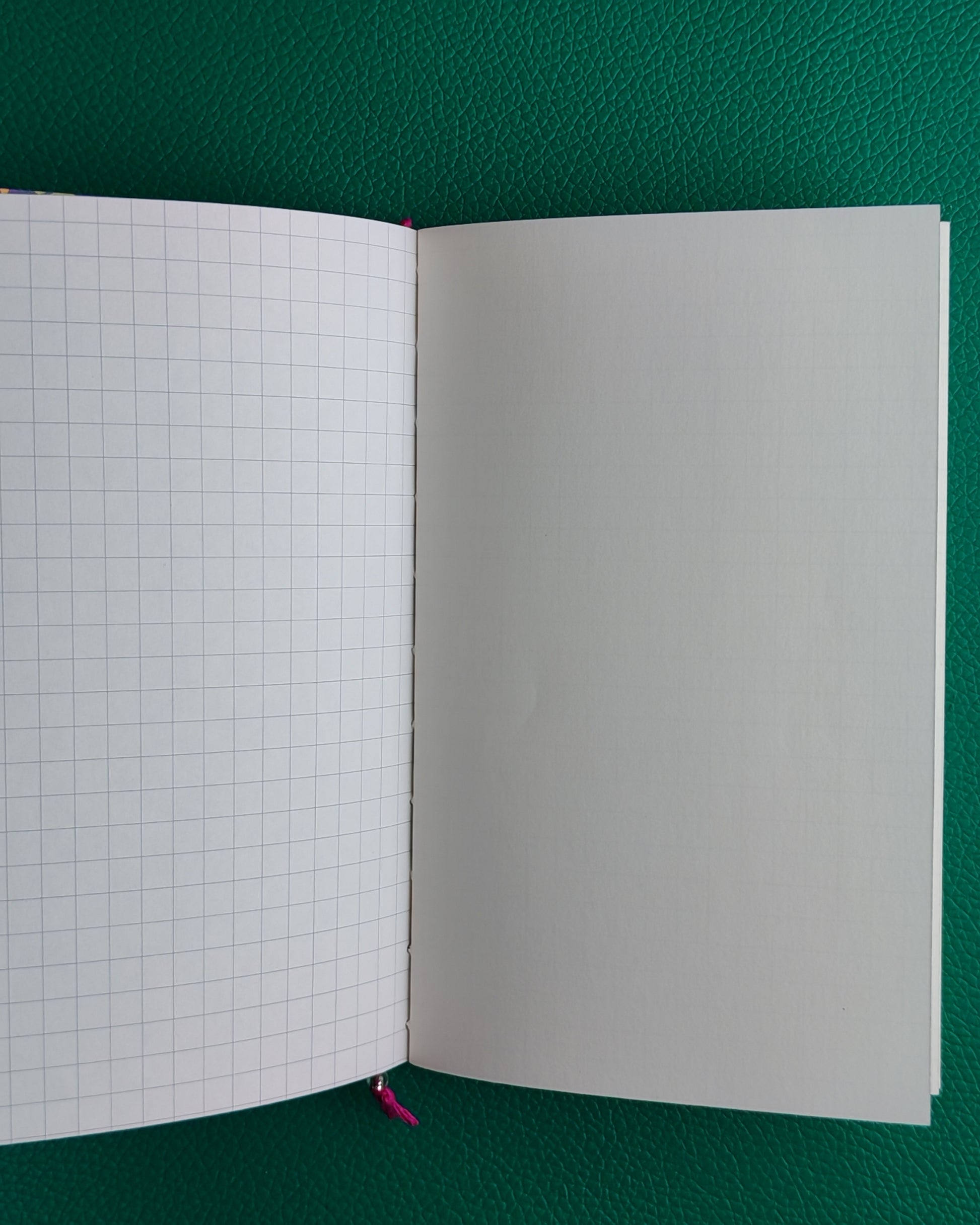 Open notebook with iroful paper, grid and plain pages on a green background