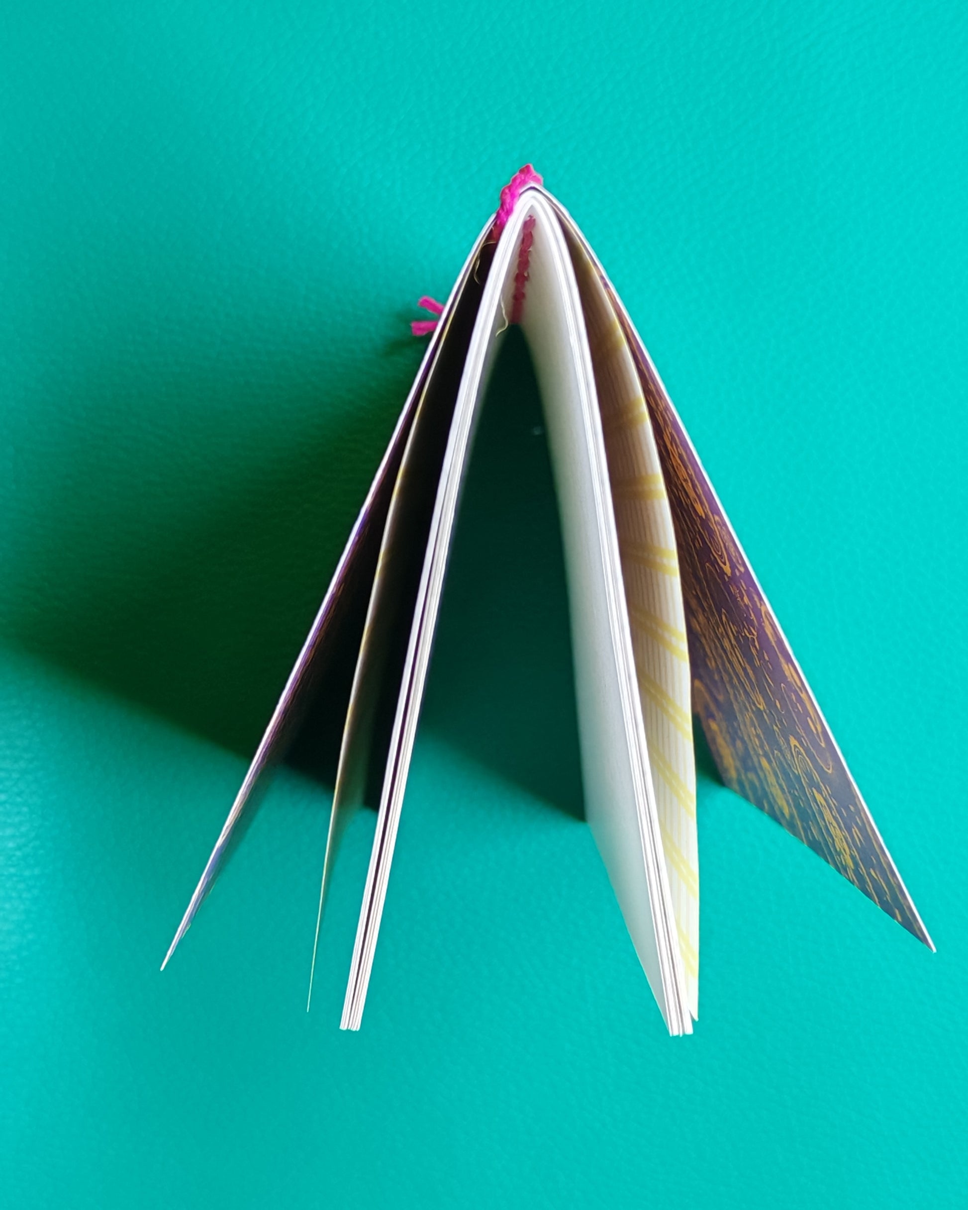 Top view of open notebook insert, pages fanned open