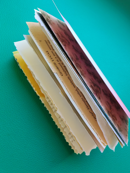 Sideview of fanned open pages of junk journal